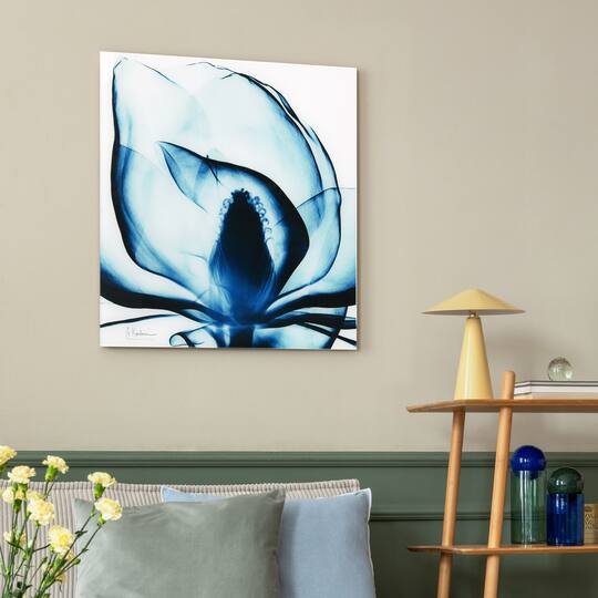 Empire Art Direct 24" x 24" Blue Magnolia X-Ray Frameless Free Floating Printed Tempered Glass Wall Art